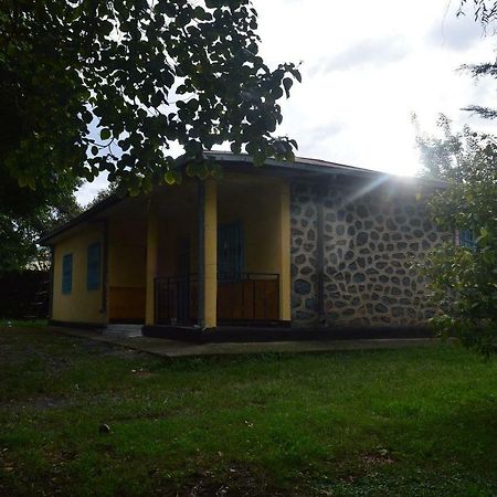 Chef Wondim Backpackers Hostel Гондэр Экстерьер фото